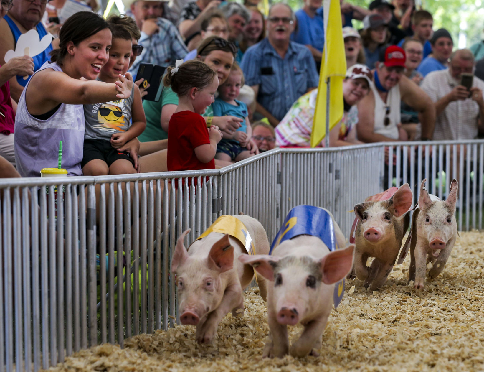 State Fair back in swing